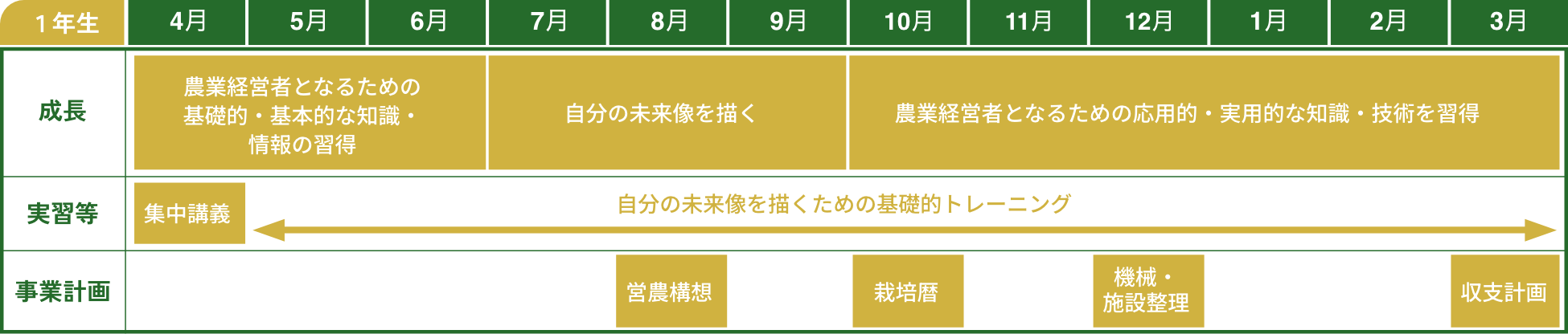 研修成長イメージ1年生