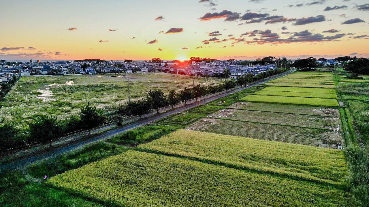 田が広がるにかほ市。近くには海も。