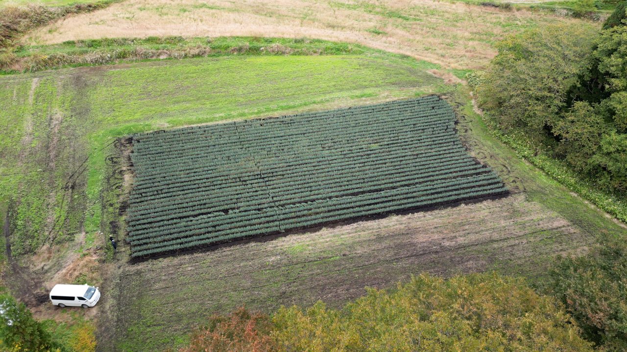 ドローンでとらえた合同会社トライズの圃場