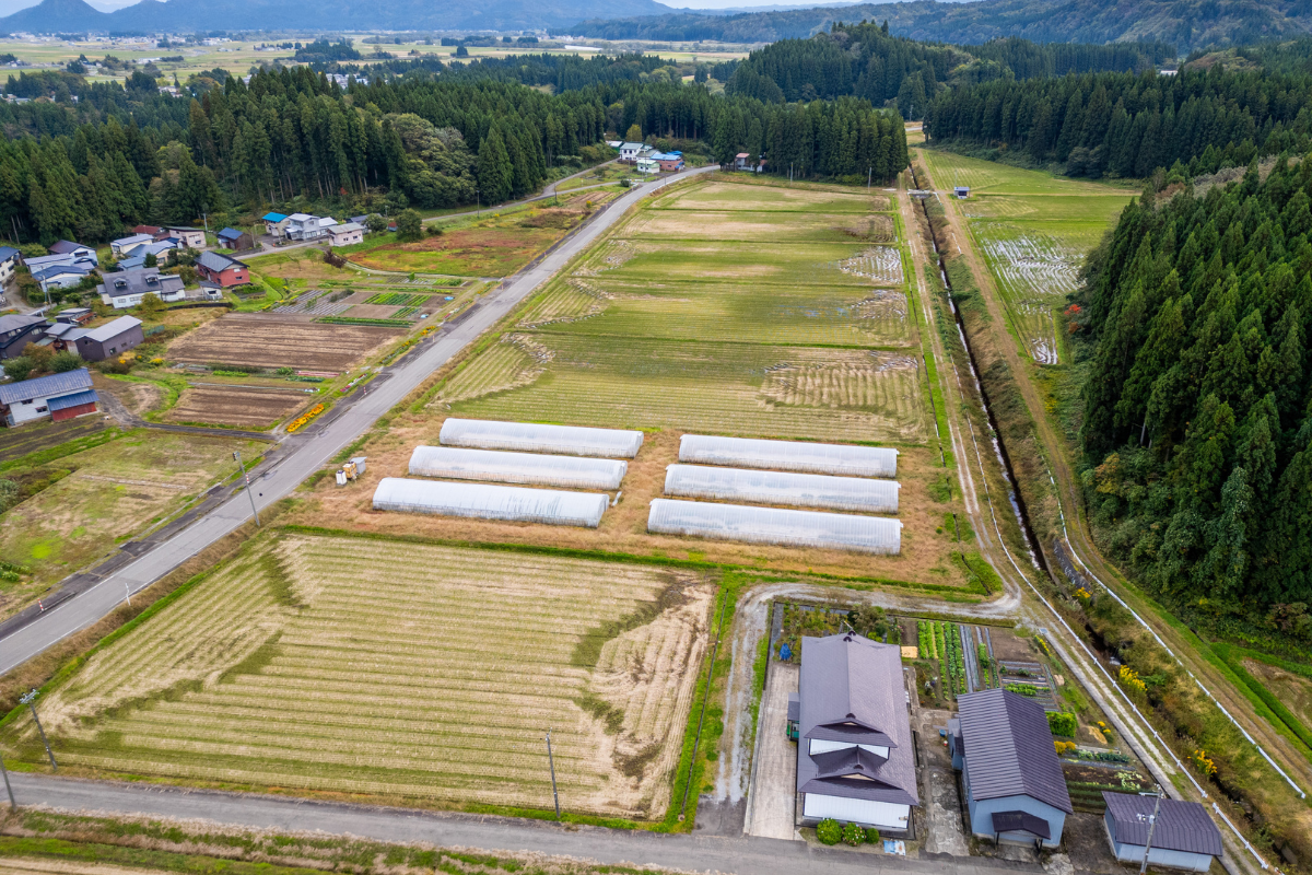 あきた皆別当の圃場